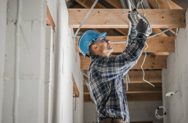 Best Electrical Repair Services  in O, MI